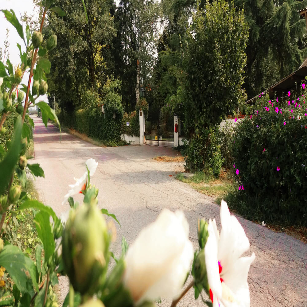 Villa Maria Sole Revello Kültér fotó